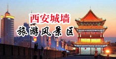 啊哈~操我逼~好爽啊啊啊视频中国陕西-西安城墙旅游风景区